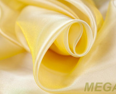 ERT MICROVUAL-09/300 PO ut