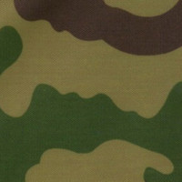  в Орле