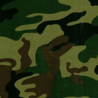  в Орле
